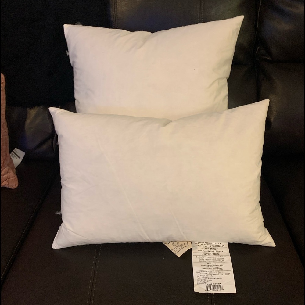 Nearly New Pillow Inserts